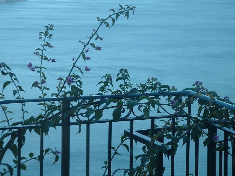 Il Giardino Dei Limoni Apartment Ravello Ngoại thất bức ảnh